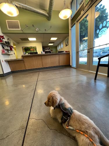 Pet vet Sunset Cliffs Animal Hospital San Diego