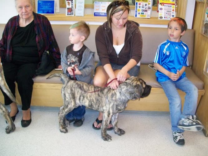 Pet vet VCA Alaska Pet Care Animal Hospital Anchorage