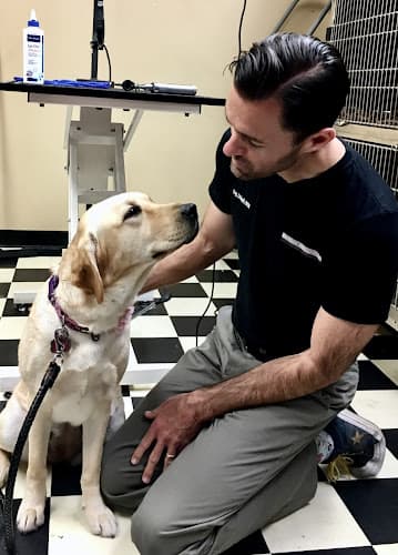 Pet vet VCA Irvine Boulevard Animal Hospital Orange