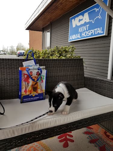 Pet vet VCA Kent Animal Hospital Kent