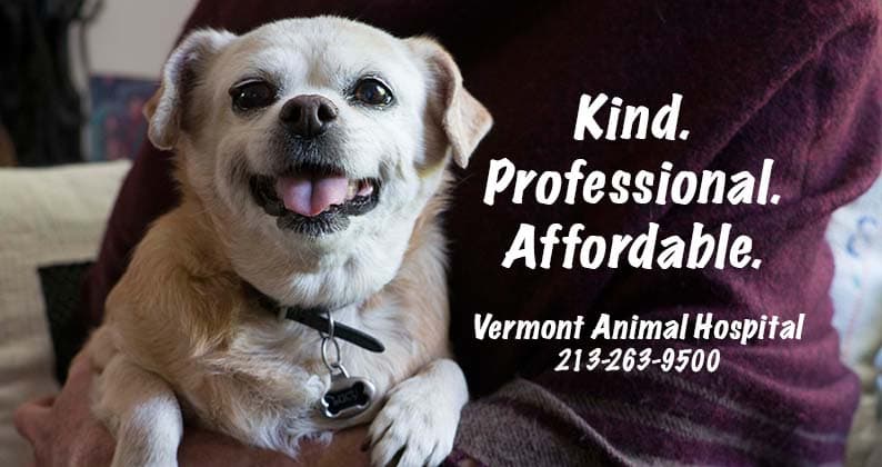 Pet vet Vermont Animal Hospital Los Angeles