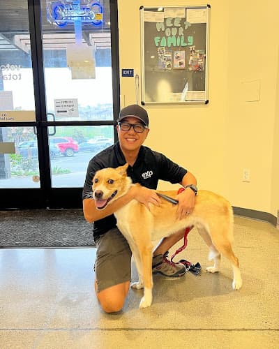 Pet vet Vetco Total Care Carlsbad