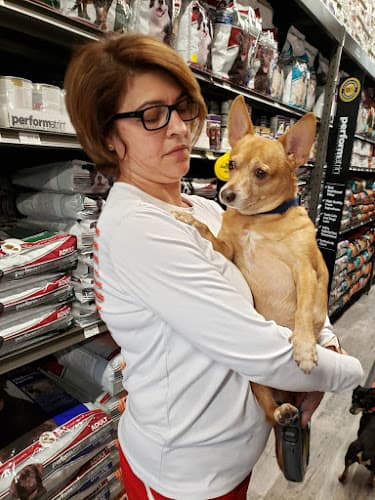 Pet vet VIP Petcare Wellness Center Stockton