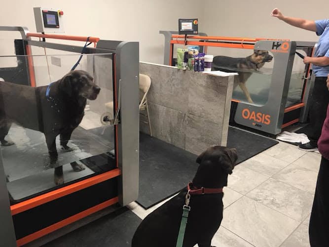 Pet vet Zen Den Animal Wellness & Rehabilitation Lancaster