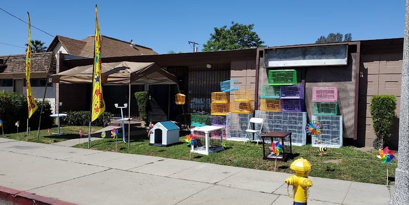 Rescue & Shelter Abe's Pet Place San Bernardino