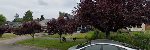 Rescue & Shelter Adoption Love and Service Tacoma