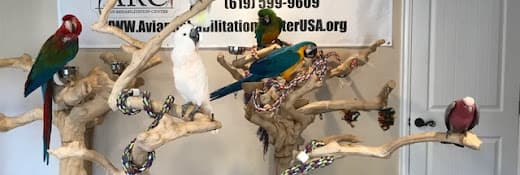 Rescue & Shelter Avian Rehabilitation Center Chula Vista