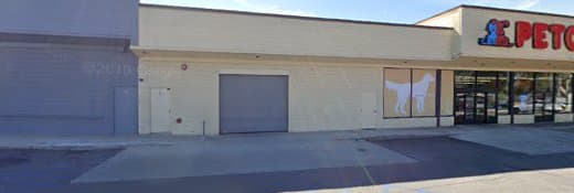 Rescue & Shelter Beagle Angels Logo Corona