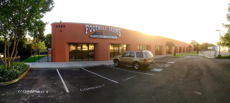 Rescue & Shelter Foothill Farms Veterinary Hospital Sacramento