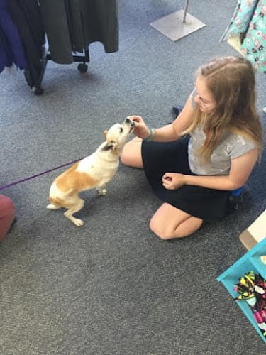 Rescue & Shelter Foster Army Animal Rescue & Pet Rescue Thrift Store Pomona