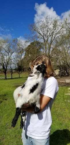 Rescue & Shelter Goatlandia Farm Animal Sanctuary and Education Center Santa Rosa