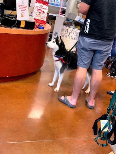 Rescue & Shelter Humane Society Silicon Valley Medical Center Santa Clara