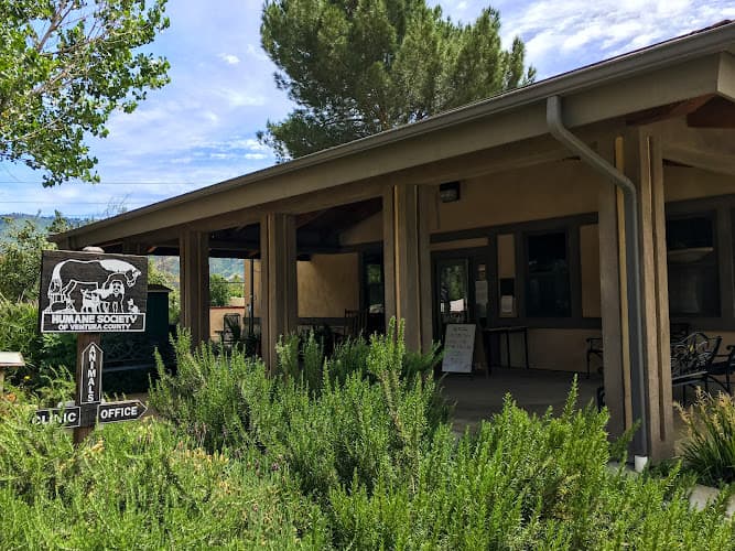 Rescue & Shelter Humane Society-Ventura County Oxnard