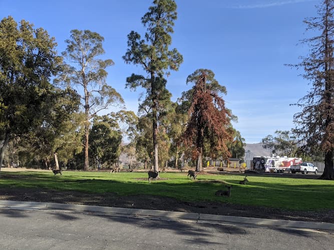 Rescue & Shelter Livermore Division - VA Palo Alto Health Care System Livermore