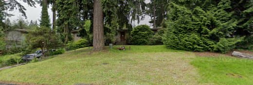 Rescue & Shelter No Worries 4 Pets Bellevue