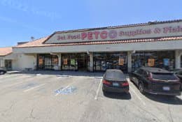 Rescue & Shelter People And Cats Together Long Beach