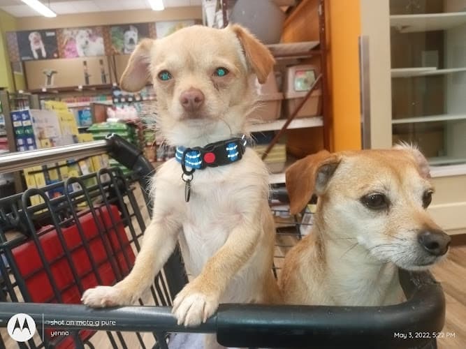 Rescue & Shelter Pet Food Express Oakland