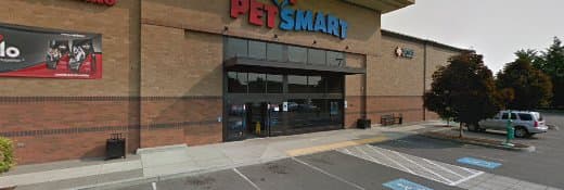 Rescue & Shelter PetSmart Dog Training Vancouver