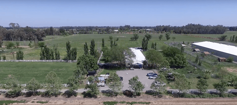 Rescue & Shelter Rotts of Friends Animal Rescue Sacramento