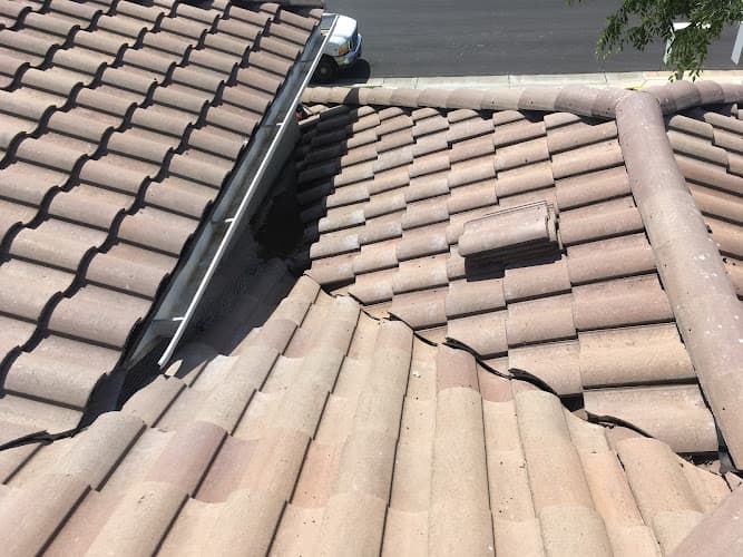 Rescue & Shelter Ruffled Feathers Bird Control Sacramento