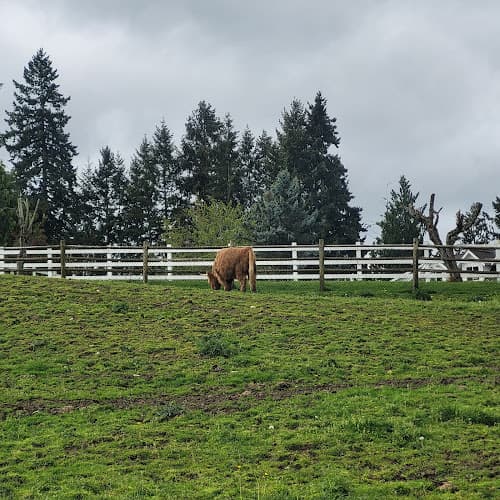 Rescue & Shelter Sammamish Animal Sanctuary Bellevue
