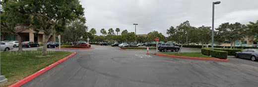 Rescue & Shelter Seniors Helping Seniors Irvine