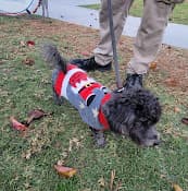 Rescue & Shelter Spca La Education Center Long Beach