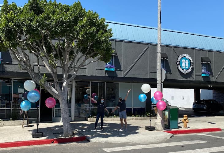 Rescue & Shelter Tailwaggers & Tailwashers Larchmont Village Los Angeles