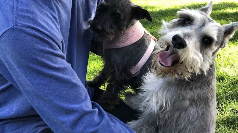 Rescue & Shelter The Animal Rescue Center Of California Fontana