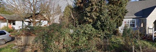 Rescue & Shelter Windbiter Dog Training and Rescue Vancouver