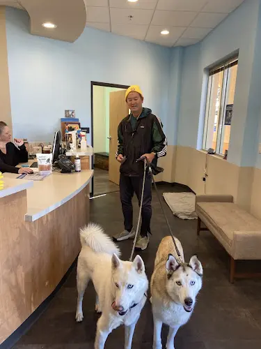 Pet vet Indy’s Place Pet Hospital San Mateo