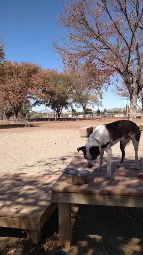 Dog Park Max Baer Park Livermore