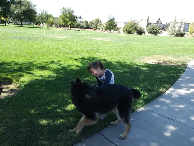 Dog Park Heron Park Sacramento