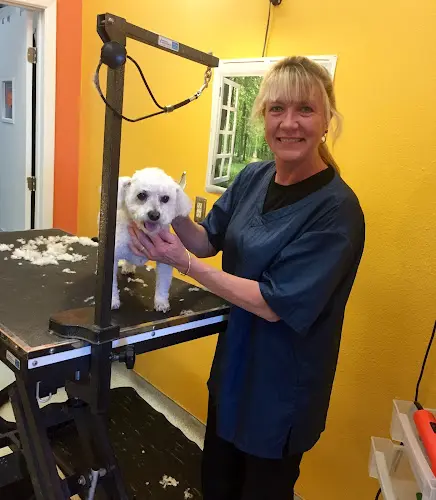 Pet boarding service VCA Alpine Animal Hospital Anchorage