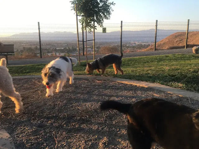 Dog Park Grand Terrace Dog Park San Bernardino