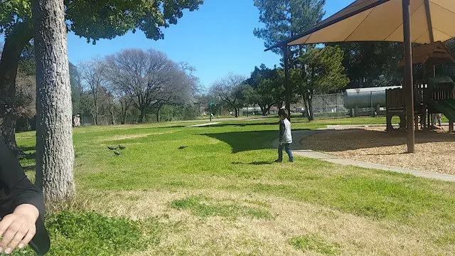 Dog Park Hagginwood Park Sacramento
