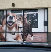 Pet vet Petco Vaccination Clinic Vallejo
