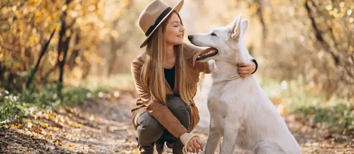 Pet boarding near Carson