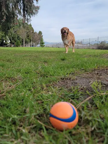 Dog Park Channel View Park Long Beach