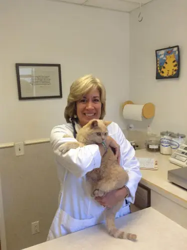 Pet boarding service Cat and Bird Clinic Santa Barbara