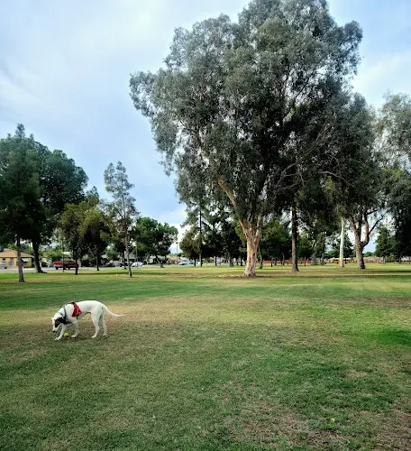 Dog Park Standard Park Bakersfield