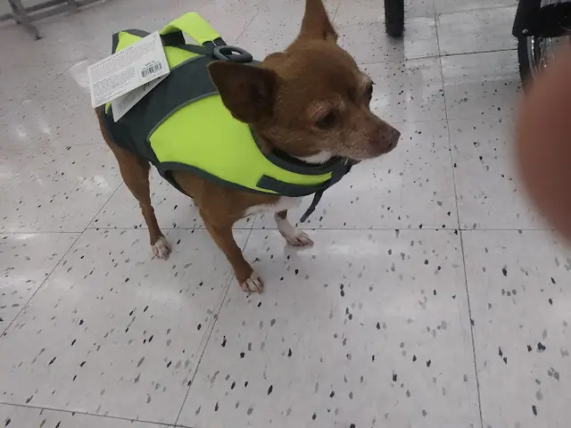 Dog breeder Petco Roseville