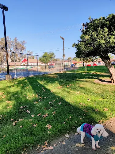 Dog Park De Anza Park Ontario