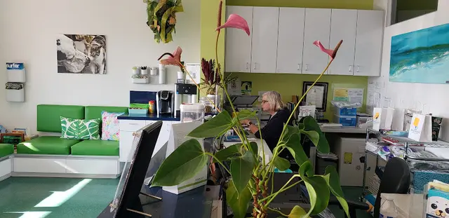 Pet vet Sandy Paws Animal Clinic Oceanside