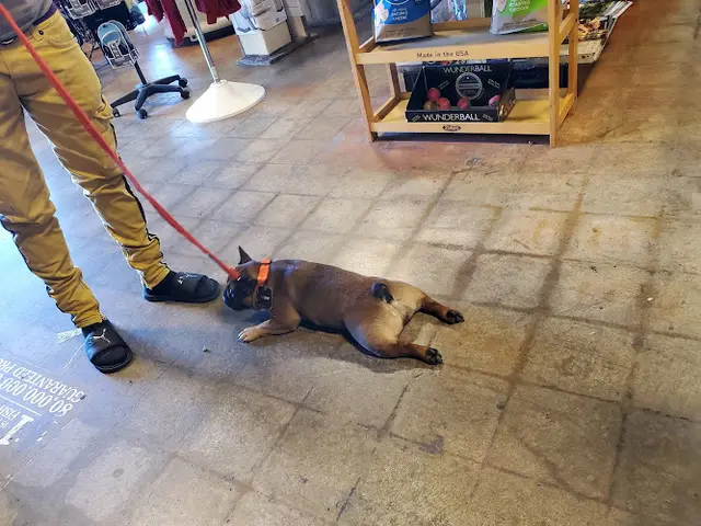 Dog walker Mike's Feed & Pets San Leandro
