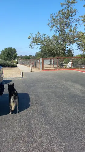 Dog Park Kimber Dog Park Ventura