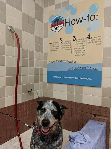Pet vet Pet Food Express Sacramento