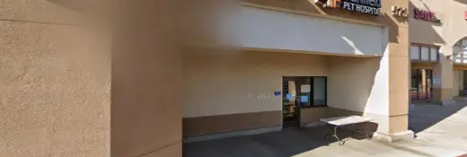 Dog day care center PetSmart Dog Training Riverside
