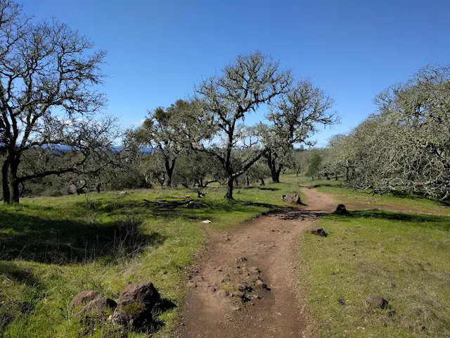 Dog Park Trione-Annadel State Park Santa Rosa