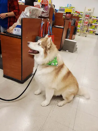 Pet vet PetSmart Lancaster